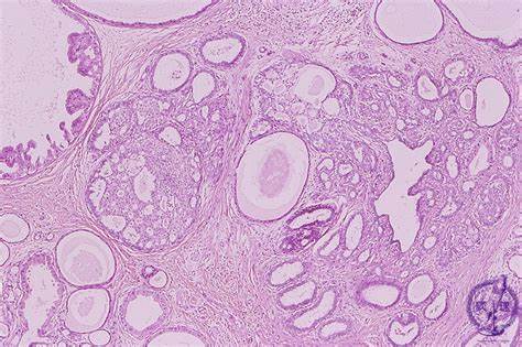 1596510018904169.jpg OIP8F05YMDV.jpg