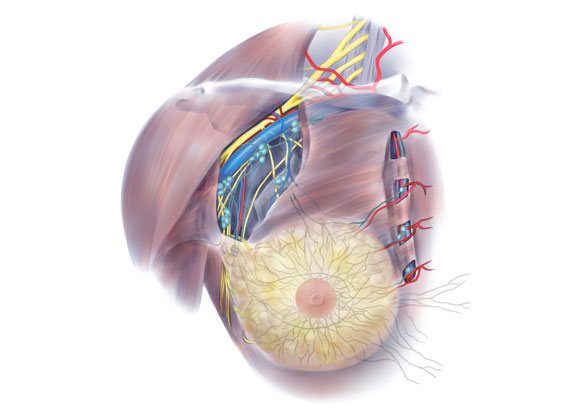 1596530622781162.jpg 1596509876748325.jpg