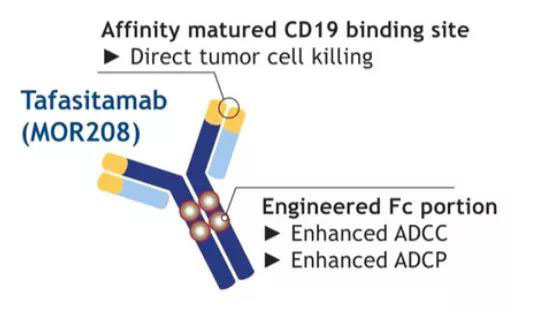 1596614953180445.jpg 微信圖片_20200805160353.jpg