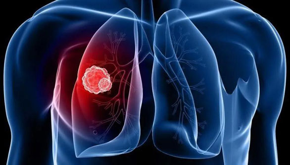 1596703026953739.jpg 微信圖片_20200806163255.jpg