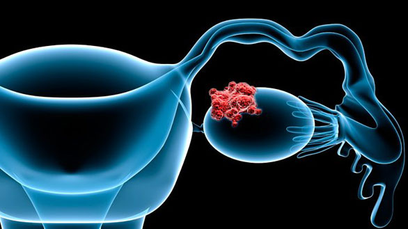 1596772306862177.jpg 2.jpg