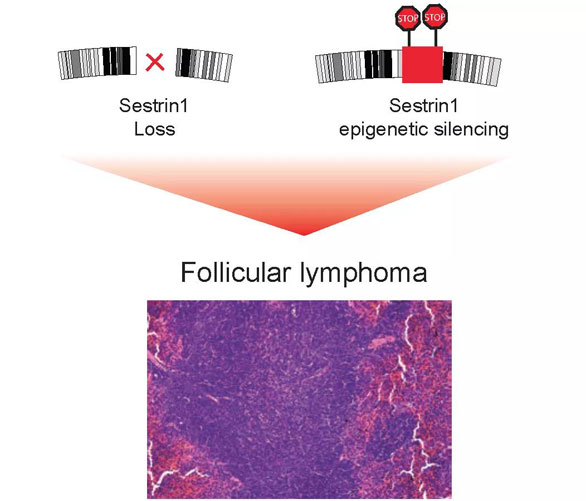 1596786634428673.jpg 微信圖片_20200807115804.jpg
