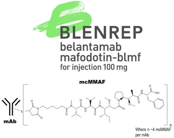 1597046931642315.jpg QQ截圖20200810160456.jpg