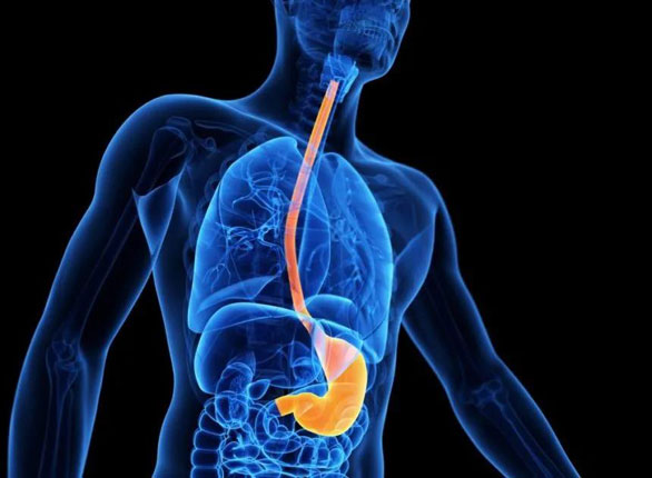 1597377062187147.jpg 微信圖片_20200814114806.jpg