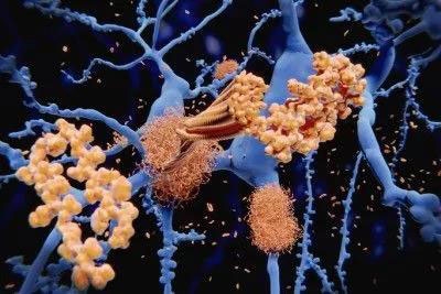 1597635293913983.jpg 微信圖片_20200817113243.jpg