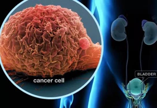 1597648732428092.jpg 1.jpg