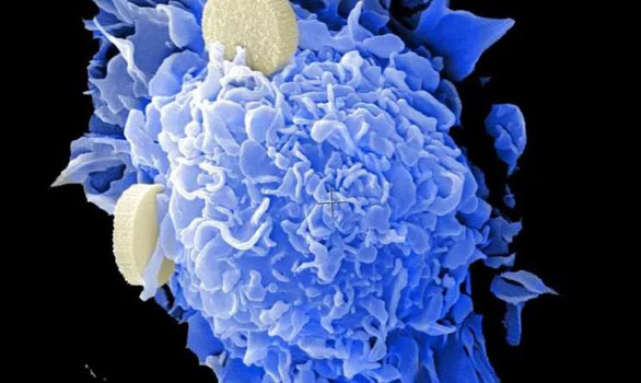 1597649518274931.jpg 微信圖片_20200817152904.jpg