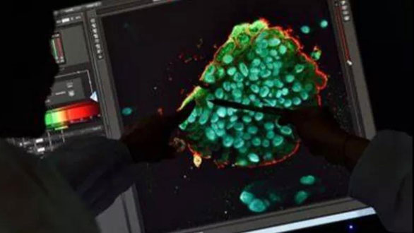 1597649523638418.jpg 微信圖片_20200817152906.jpg