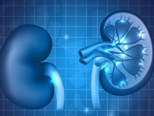 1597804222138665.jpg 67e1bd47d16dcdee3df7a57279c3c59e.jpg