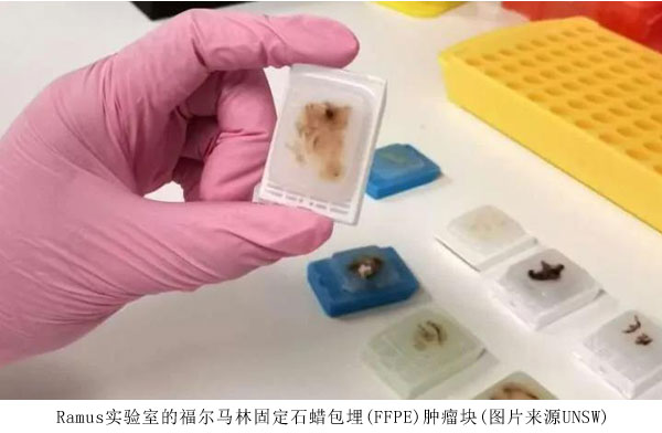 1597821894323244.jpg 未標(biāo)題-1.jpg