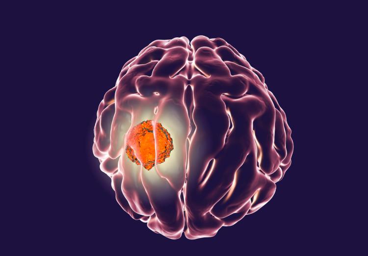 1598339067290291.jpg 1552904165963.jpg