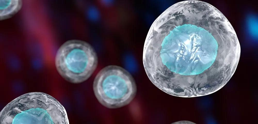 1598339074311061.jpg 微信圖片_20200825150113.jpg