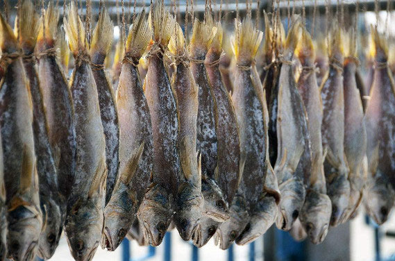 1598344424166631.jpg 59eb12bab0d848bfbc1bede340d19338.jpg