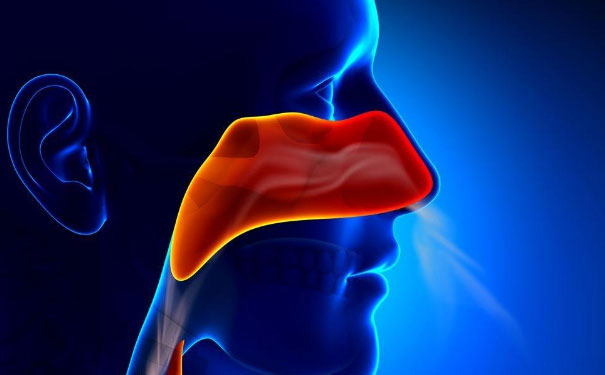 1598344459160473.jpg 2.jpg