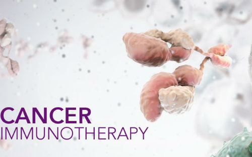 1598427871268530.jpg 201504151855308402.jpg