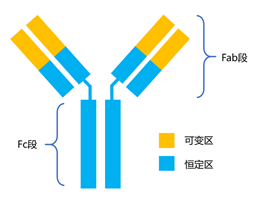 1598427943604796.png 1598427943604796.png