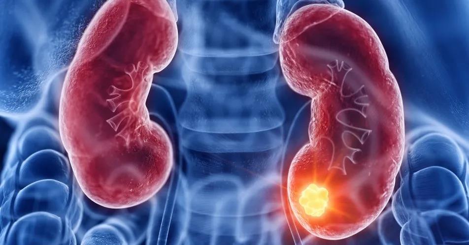 1598500060285126.jpg 微信圖片_20200827112413.jpg