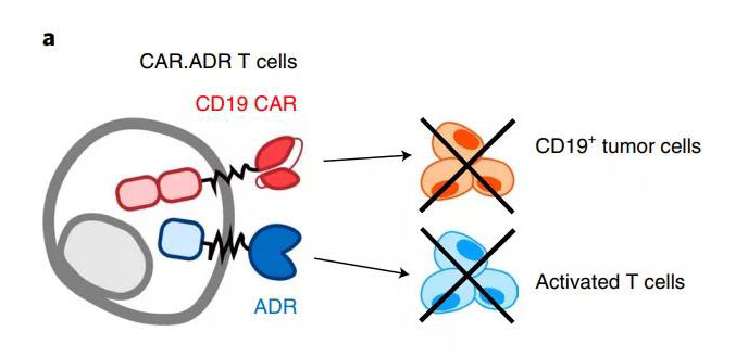 1598859858396142.jpg 微信圖片_20200831144814.jpg