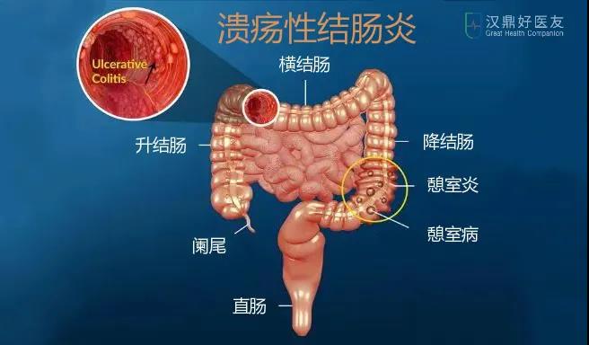 1598862209505588.jpg 微信圖片_20200831161818.jpg