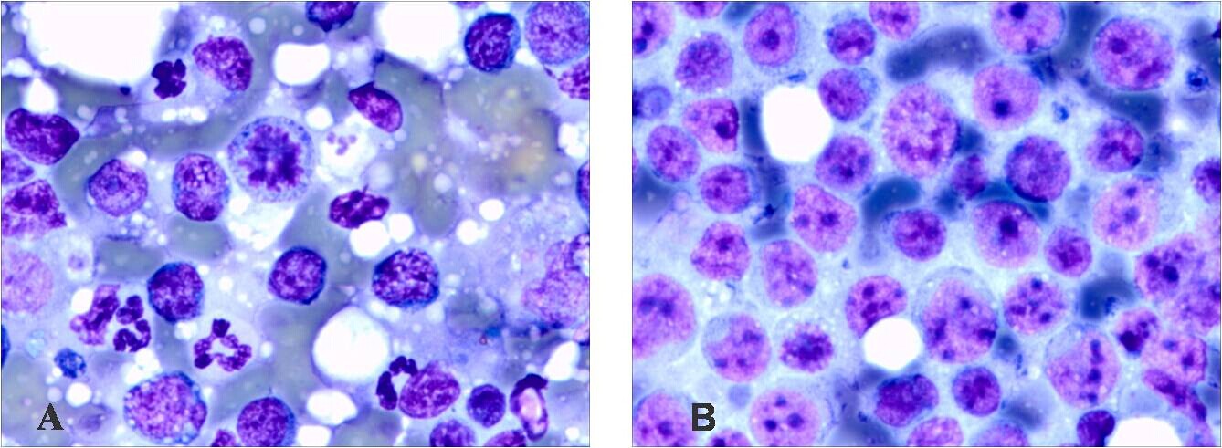 1598930631751383.jpg 20141013160516_6406.jpg