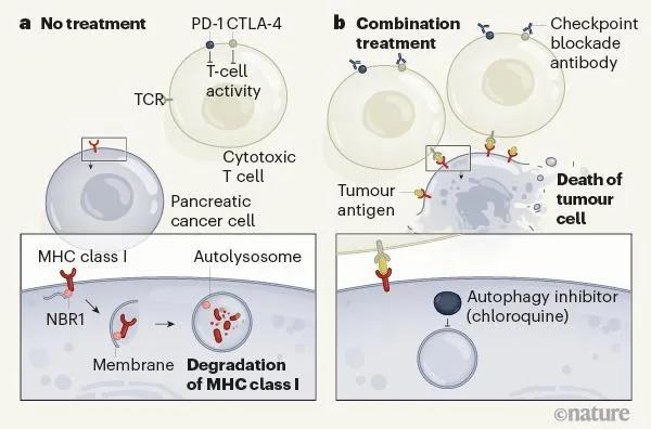 1599036359533090.jpg 微信圖片_20200902164137.jpg