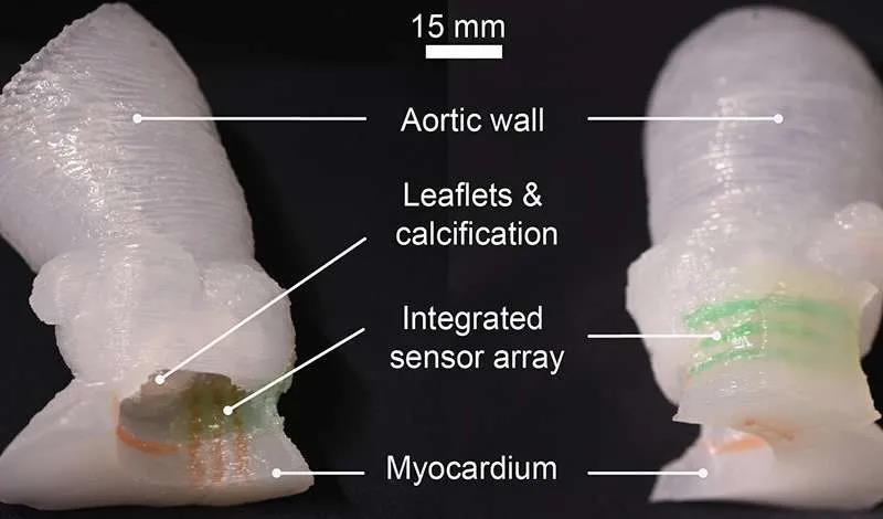 1599104854486572.jpg 微信圖片_20200903112554.jpg
