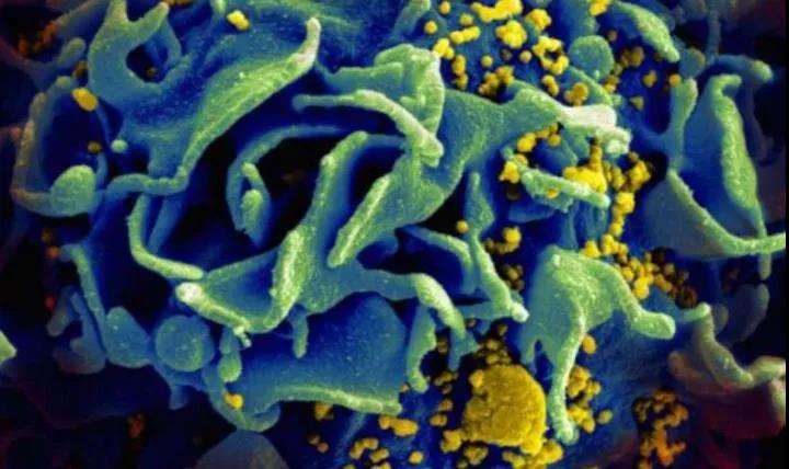 1599206968880129.jpg 微信圖片_20200904160651.jpg