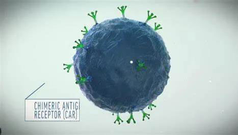 1599206973243368.jpg 1599206973243368.jpg