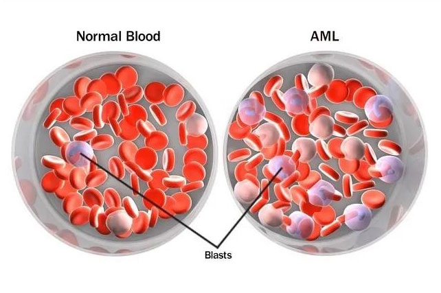 1599458597378958.jpg 微信圖片_20200907115227.jpg