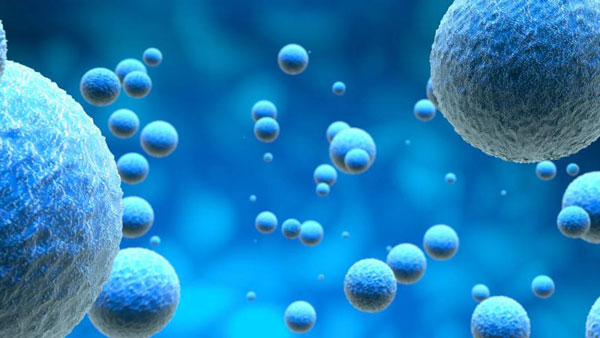 1599710481794426.jpg 微信圖片_20200910112448.jpg