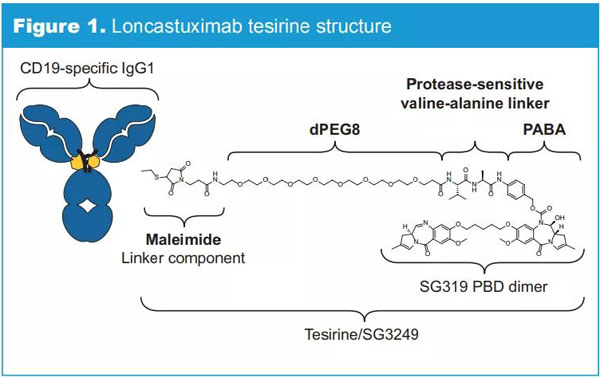1601001988171251.jpg 微信圖片_20200925104030.jpg