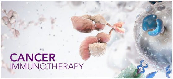 癌癥,癌癥免疫療法
