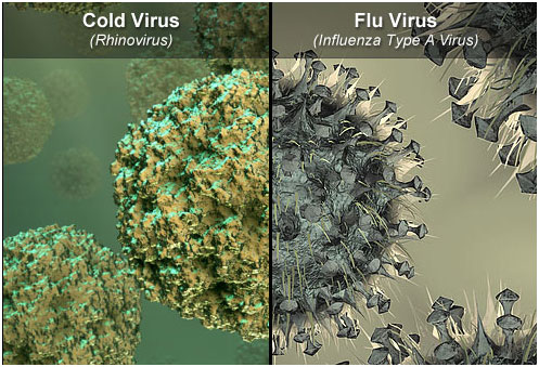 流感，普通感冒