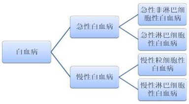 白血病,白血病分類