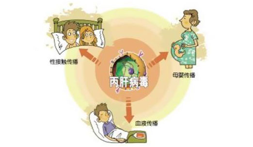 丙肝的傳播途徑