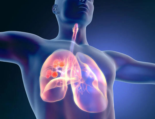 1602483043291477.jpg 微信圖片_20201012140507.jpg