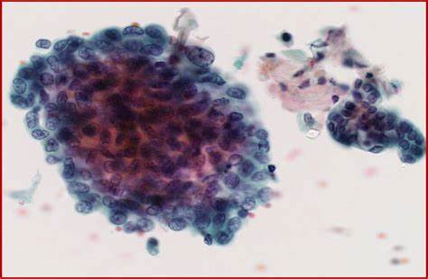 1603334983823382.jpg OIPWIO2UEU0.jpg