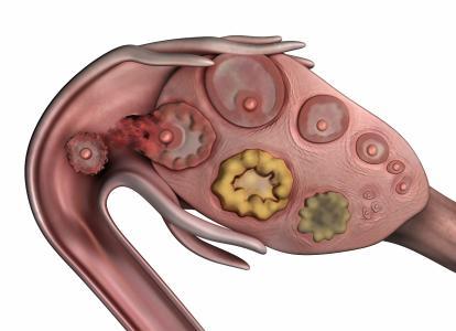 1603766364917684.jpg 3dd254999ca54cce976248d14a2a96df.jpg