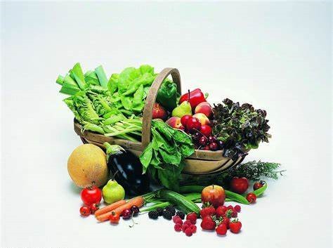 1603766523584482.jpg OIP066ENBO2.jpg