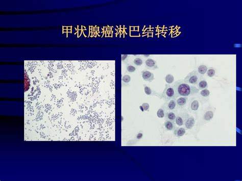 1603852291175303.jpg OIPUCPC45I3.jpg