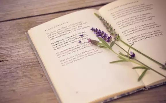 1604647722408883.jpg 微信圖片_202011061524092.jpg