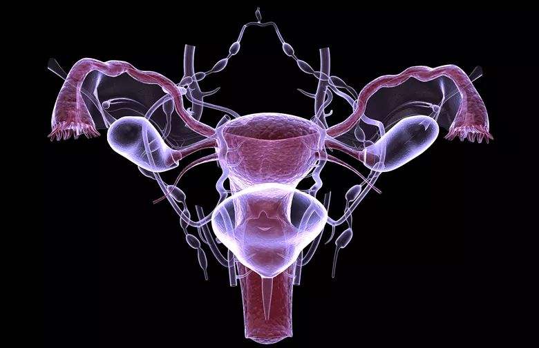 1605148643860147.jpg 宮頸癌c.jpg