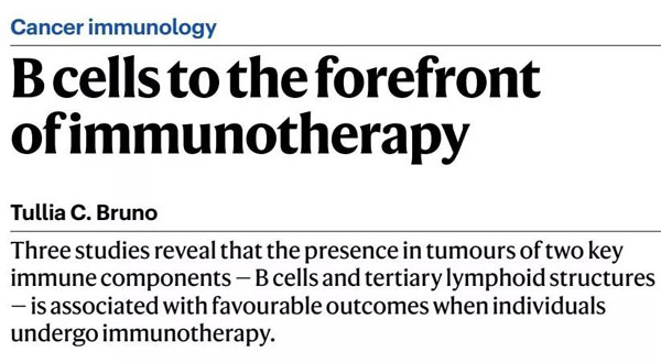 1605169828960932.jpg 微信圖片_20201112160549.jpg