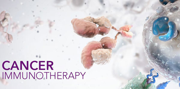 1605169843959382.jpg 微信圖片_20201112160550.jpg