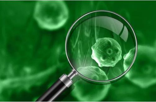 1605233980949695.jpg 淋巴瘤2.jpg