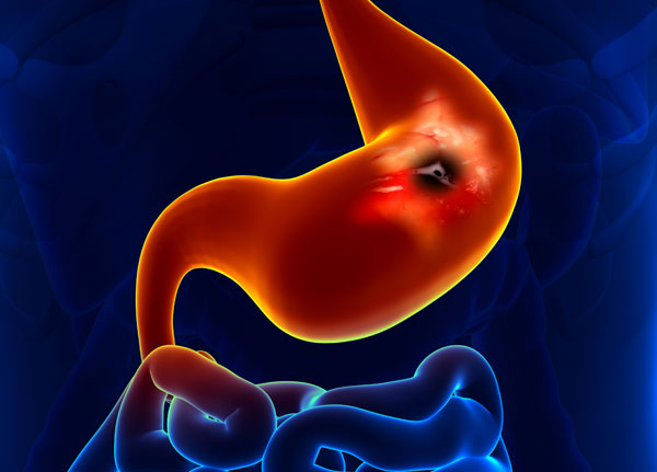 1605511427526312.jpg 微信圖片_20201116151642.jpg