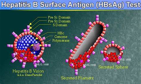 1605756732945029.jpg OIP.RyzJv-JSOu6eFmCqov_5NwHaEc.jpg