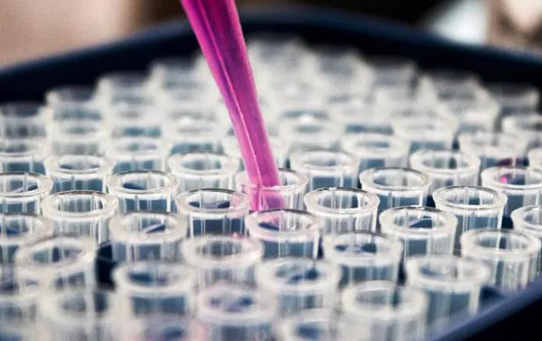 1605855746108462.jpg 5.jpg