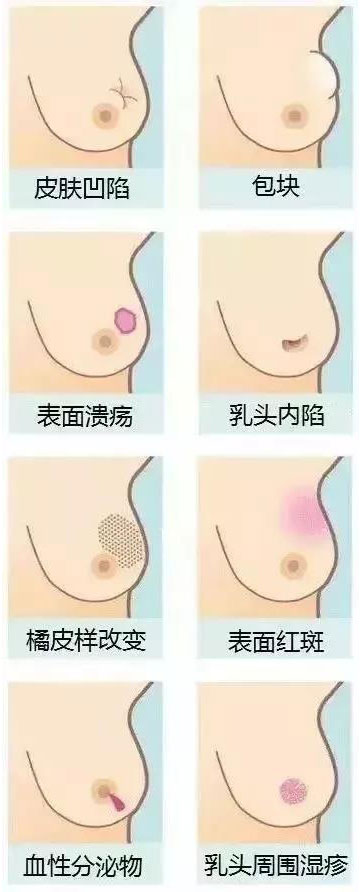 1606375008310180.jpg 1606375008310180.jpg