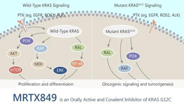 1607657405762133.jpg 微信圖片_20201211112051.jpg